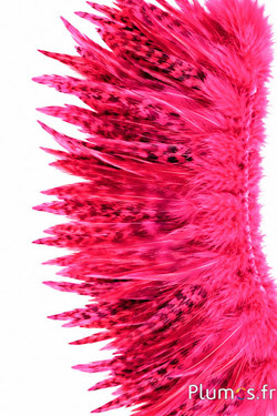 Hahnenfederkragen - Länge der Federn 10-15 cm - rosa